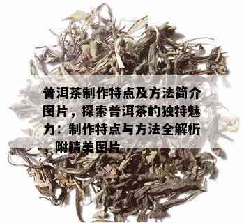 普洱茶制作特点及方法简介图片，探索普洱茶的独特魅力：制作特点与方法全解析，附精美图片