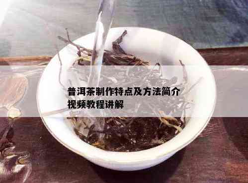 普洱茶制作特点及方法简介视频教程讲解