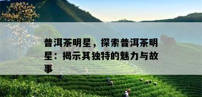 普洱茶明星，探索普洱茶明星：揭示其独特的魅力与故事