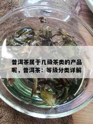 普洱茶属于几级茶类的产品呢，普洱茶：等级分类详解