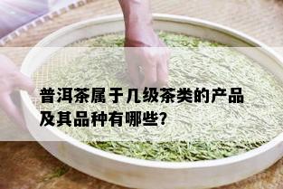 普洱茶属于几级茶类的产品及其品种有哪些？