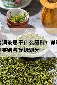 普洱茶属于什么级别？详解其类别与等级划分