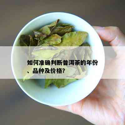 如何准确判断普洱茶的年份、品种及价格？