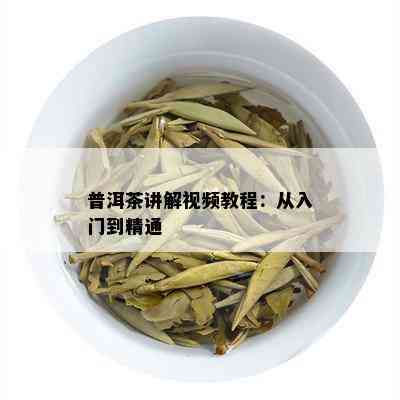 普洱茶讲解视频教程：从入门到精通