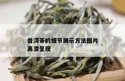 普洱茶的细节展示方法图片高清呈现