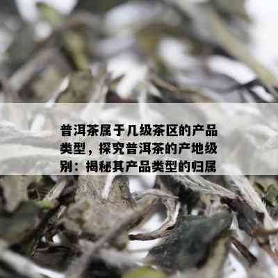 普洱茶属于几级茶区的产品类型，探究普洱茶的产地级别：揭秘其产品类型的归属