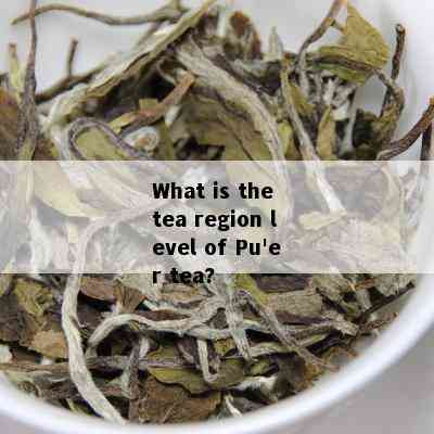 What is the tea region level of Pu'er tea?