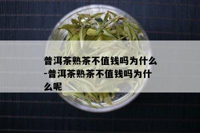 普洱茶熟茶不值钱吗为什么-普洱茶熟茶不值钱吗为什么呢