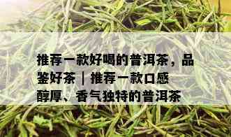 推荐一款好喝的普洱茶，品鉴好茶 | 推荐一款口感醇厚、香气独特的普洱茶