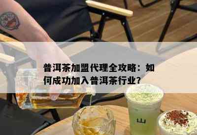 普洱茶加盟代理全攻略：如何成功加入普洱茶行业？