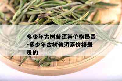 多少年古树普洱茶价格最贵-多少年古树普洱茶价格最贵的