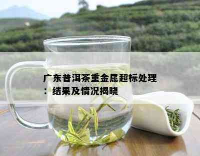 广东普洱茶重金属超标处理：结果及情况揭晓