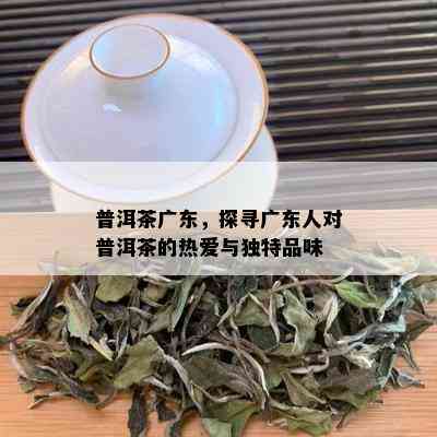 普洱茶广东，探寻广东人对普洱茶的热爱与独特品味