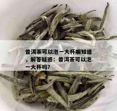 普洱茶可以泡一大杯嘛知道，解答疑惑：普洱茶可以泡一大杯吗？