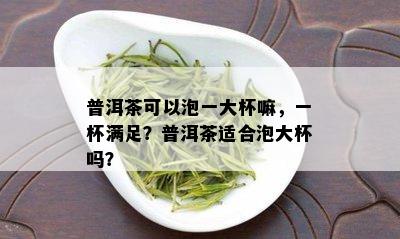 普洱茶可以泡一大杯嘛，一杯满足？普洱茶适合泡大杯吗？