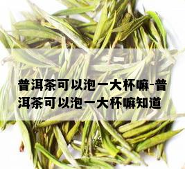 普洱茶可以泡一大杯嘛-普洱茶可以泡一大杯嘛知道