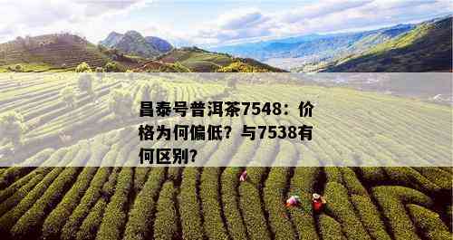 昌泰号普洱茶7548：价格为何偏低？与7538有何区别？