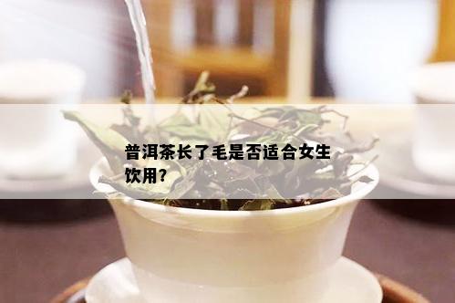 普洱茶长了毛是否适合女生饮用？