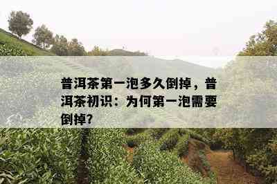 普洱茶之一泡多久倒掉，普洱茶初识：为何之一泡需要倒掉？