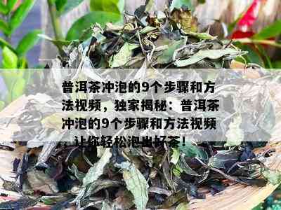 普洱茶冲泡的9个步骤和方法视频，独家揭秘：普洱茶冲泡的9个步骤和方法视频，让你轻松泡出好茶！