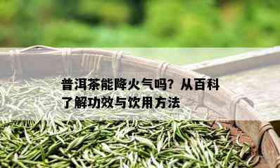 普洱茶能降火气吗？从百科了解功效与饮用方法