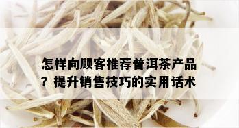 怎样向顾客推荐普洱茶产品？提升销售技巧的实用话术