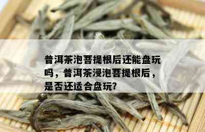 普洱茶泡菩提根后还能盘玩吗，普洱茶浸泡菩提根后，是否还适合盘玩？