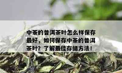 中茶的普洱茶叶怎么样保存更好，如何保存中茶的普洱茶叶？了解更佳存储方法！