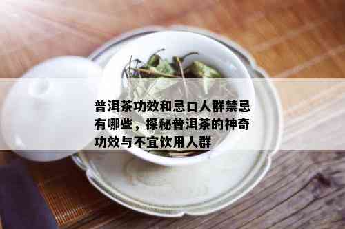 普洱茶功效和忌口人群禁忌有哪些，探秘普洱茶的神奇功效与不宜饮用人群