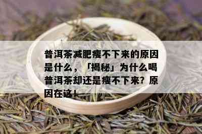 普洱茶减肥瘦不下来的原因是什么，「揭秘」为什么喝普洱茶却还是瘦不下来？原因在这！