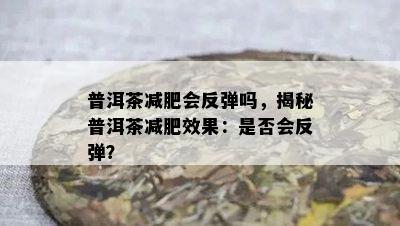 普洱茶减肥会反弹吗，揭秘普洱茶减肥效果：是否会反弹？