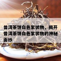 普洱茶饼白色絮状物，揭开普洱茶饼白色絮状物的神秘面纱