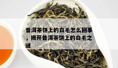 普洱茶饼上的白毛怎么回事，揭开普洱茶饼上的白毛之谜