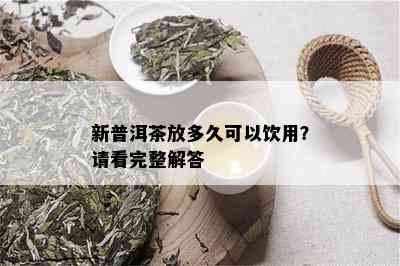 新普洱茶放多久可以饮用？请看完整解答