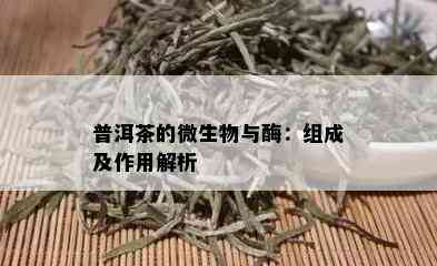 普洱茶的微生物与酶：组成及作用解析