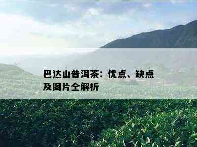 巴达山普洱茶：优点、缺点及图片全解析