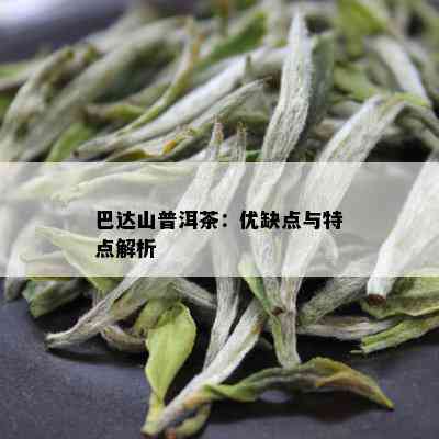 巴达山普洱茶：优缺点与特点解析