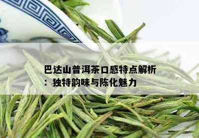 巴达山普洱茶口感特点解析：独特韵味与陈化魅力