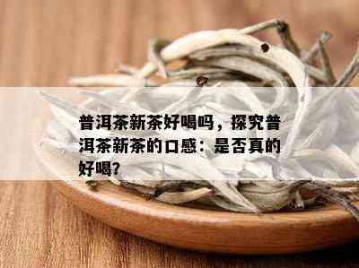 普洱茶新茶好喝吗，探究普洱茶新茶的口感：是否真的好喝？