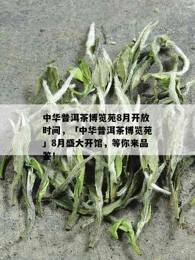 中华普洱茶博览苑8月开放时间，「中华普洱茶博览苑」8月盛大开馆，等你来品鉴！