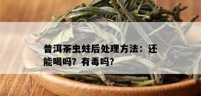 普洱茶虫蛀后处理方法：还能喝吗？有吗？