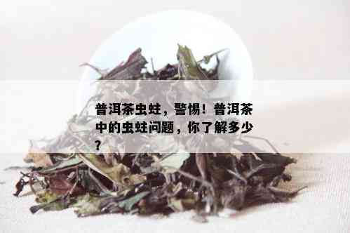 普洱茶虫蛀，警惕！普洱茶中的虫蛀问题，你了解多少？