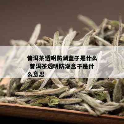 普洱茶透明防潮盒子是什么-普洱茶透明防潮盒子是什么意思