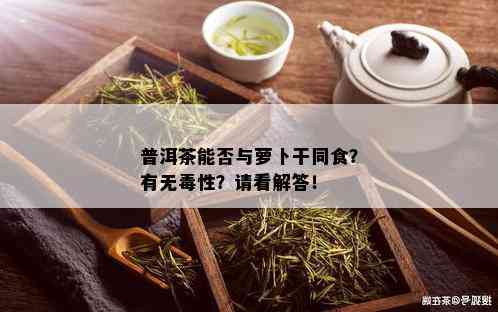 普洱茶能否与萝卜干同食？有无性？请看解答！