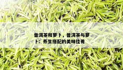 普洱茶和萝卜，普洱茶与萝卜：养生搭配的美味佳肴