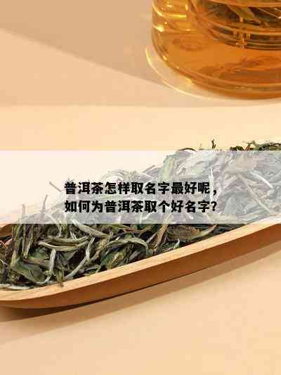 普洱茶怎样取名字更好呢，如何为普洱茶取个好名字？