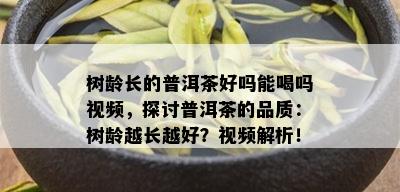 树龄长的普洱茶好吗能喝吗视频，探讨普洱茶的品质：树龄越长越好？视频解析！