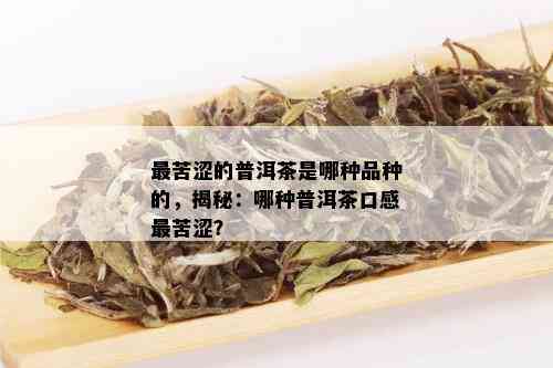 最苦涩的普洱茶是哪种品种的，揭秘：哪种普洱茶口感最苦涩？