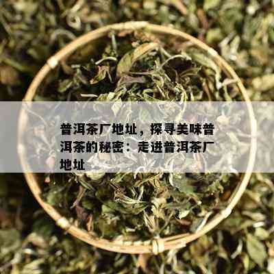 普洱茶厂地址，探寻美味普洱茶的秘密：走进普洱茶厂地址