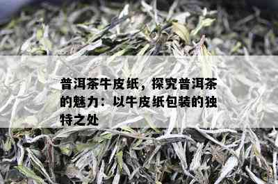 普洱茶牛皮纸，探究普洱茶的魅力：以牛皮纸包装的独特之处